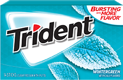 Trident Gum Wintergreen Flavor (12 Packs Per Box)